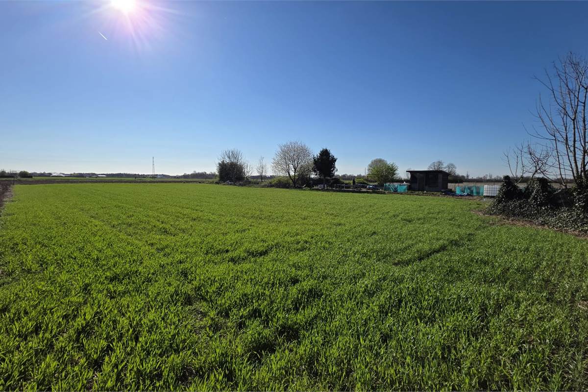Terreno agricolo soleggiato con bosco privato a Fenegrò