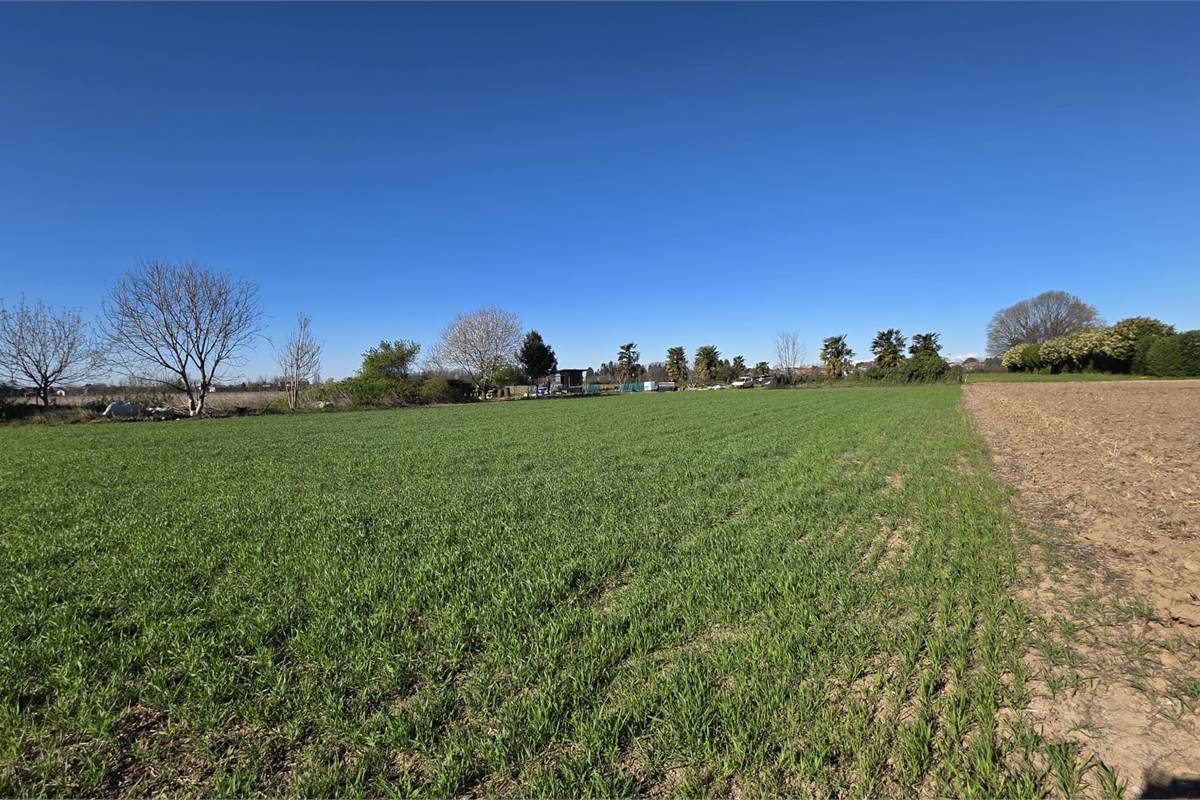 Terreno agricolo soleggiato con bosco privato a Fenegrò