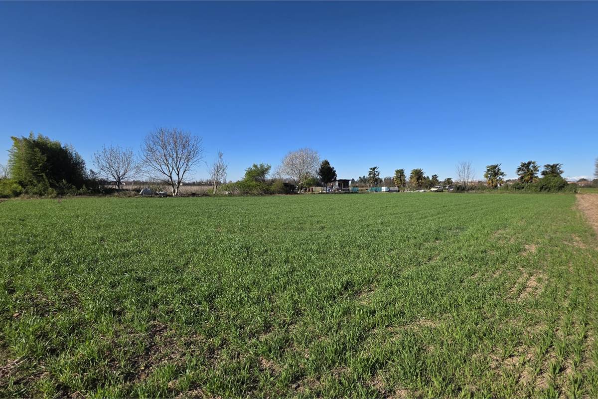 Terreno agricolo soleggiato con bosco privato a Fenegrò