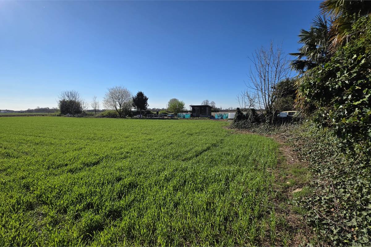 Terreno agricolo soleggiato con bosco privato a Fenegrò