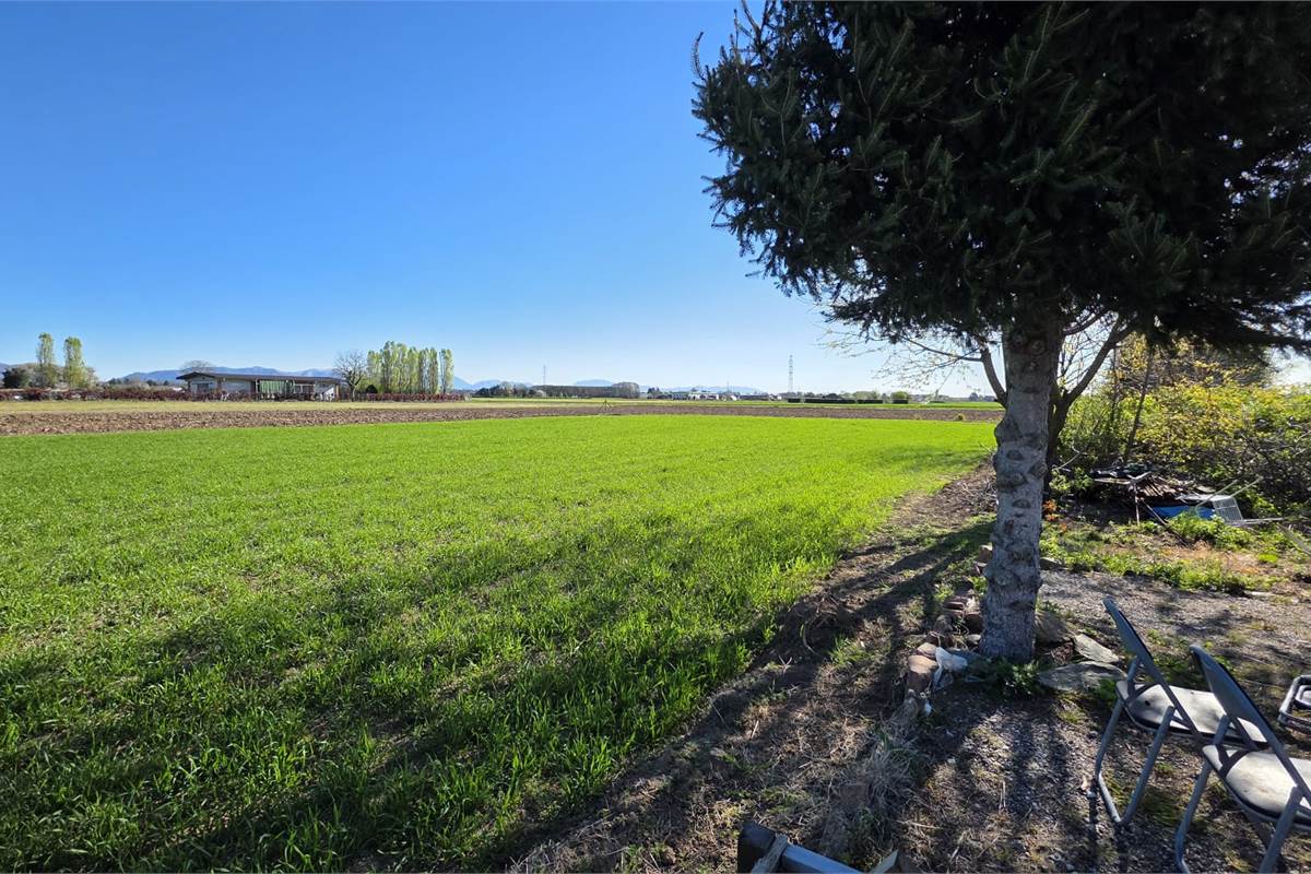 Terreno agricolo soleggiato con bosco privato a Fenegrò