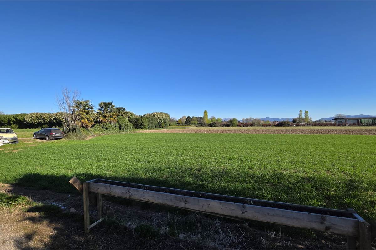Terreno agricolo soleggiato con bosco privato a Fenegrò