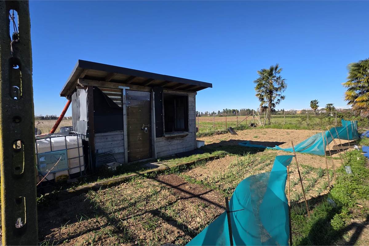 Terreno agricolo soleggiato con bosco privato a Fenegrò