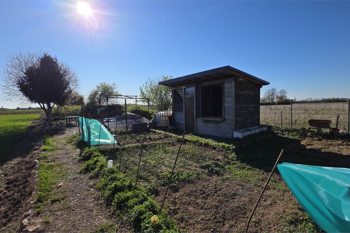 Terreno agricolo soleggiato con bosco privato a Fenegrò