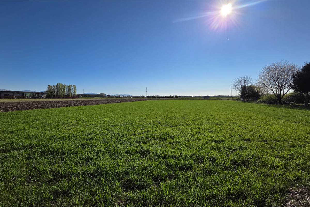 Terreno agricolo soleggiato con bosco privato a Fenegrò