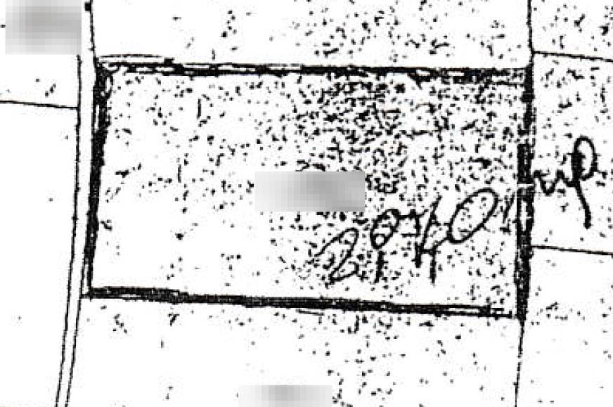 Terreno agricolo soleggiato con bosco privato a Fenegrò