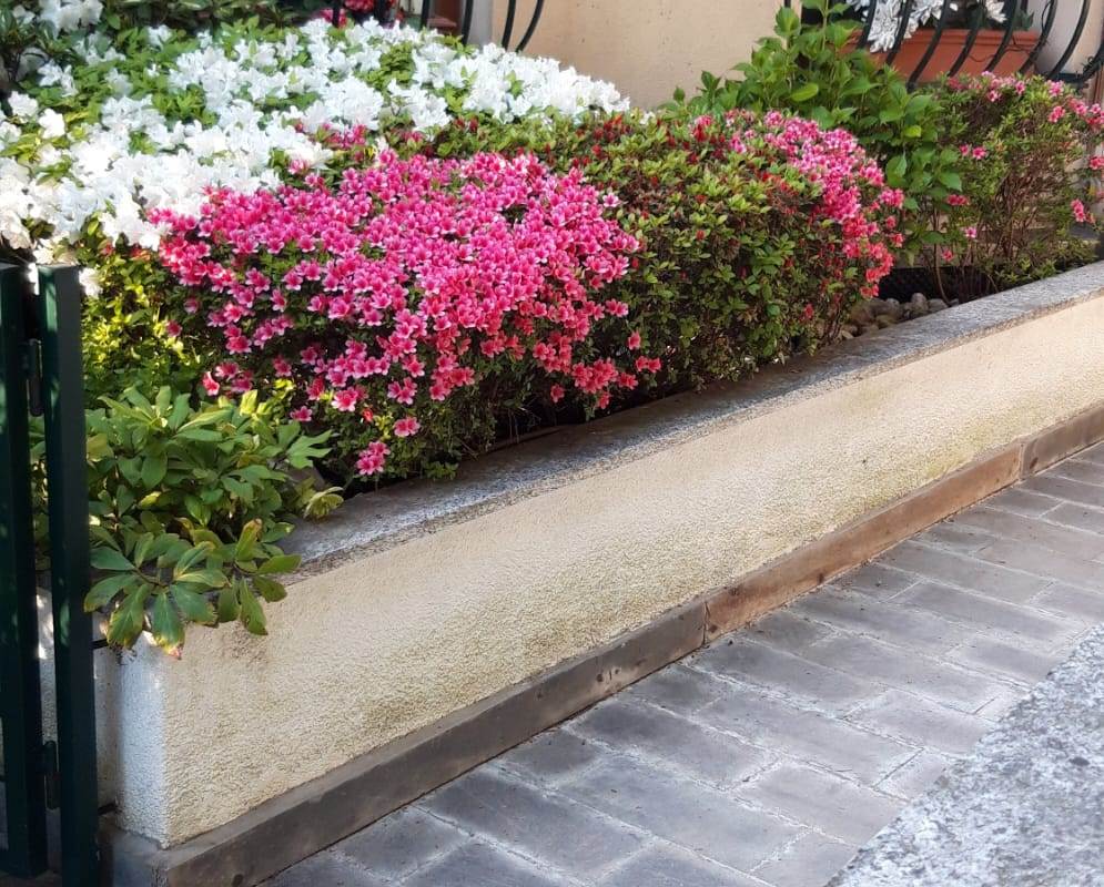 TORNO - VICINANZE - VENDESI NUDA PROPRIETA' CON USUFRUTTO VITALIZIO 