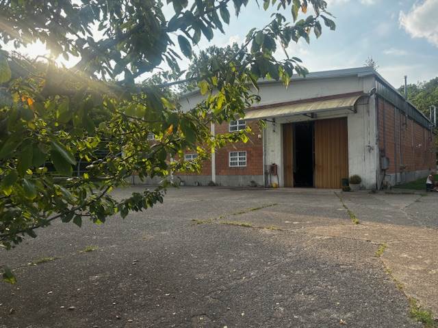 MONTANO LUCINO