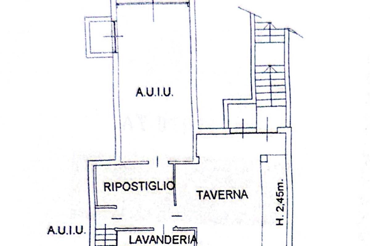 taverna