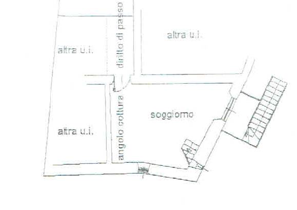 Favolosa casa con giardino adiacente al Parco Lura