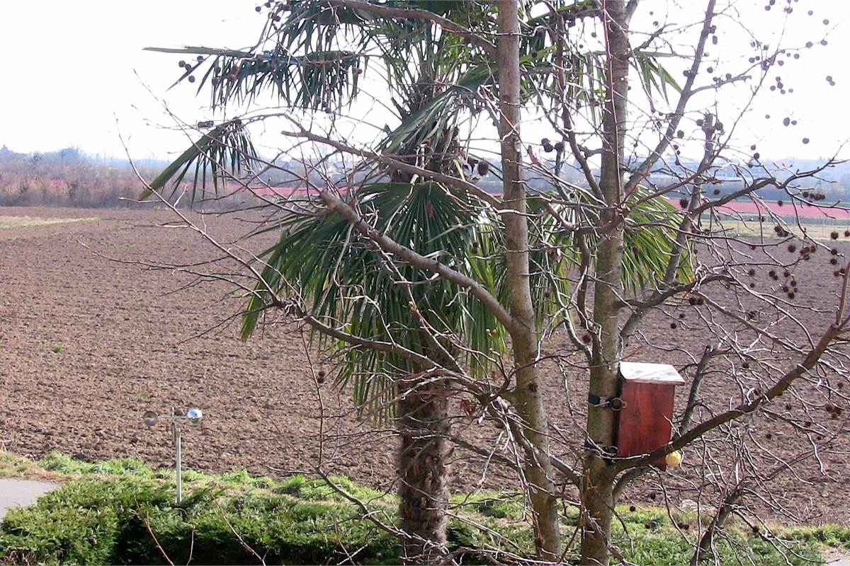 esterno