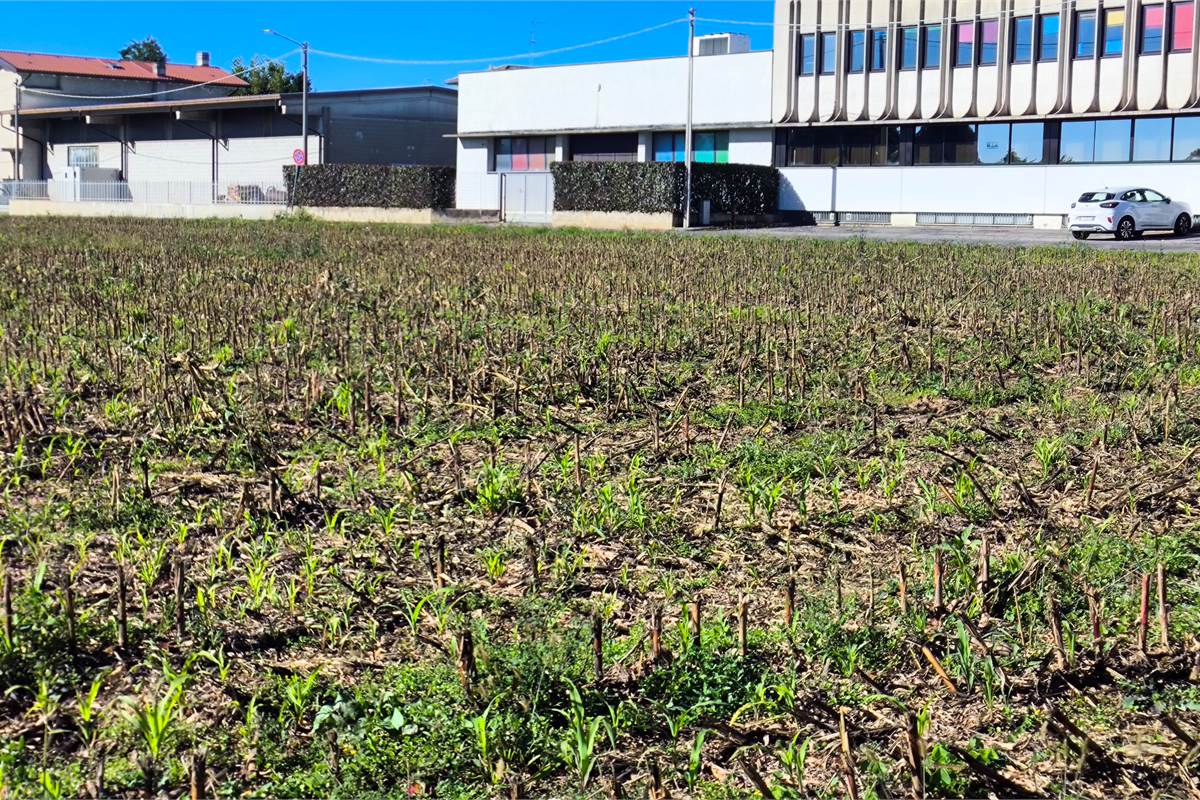 terreno