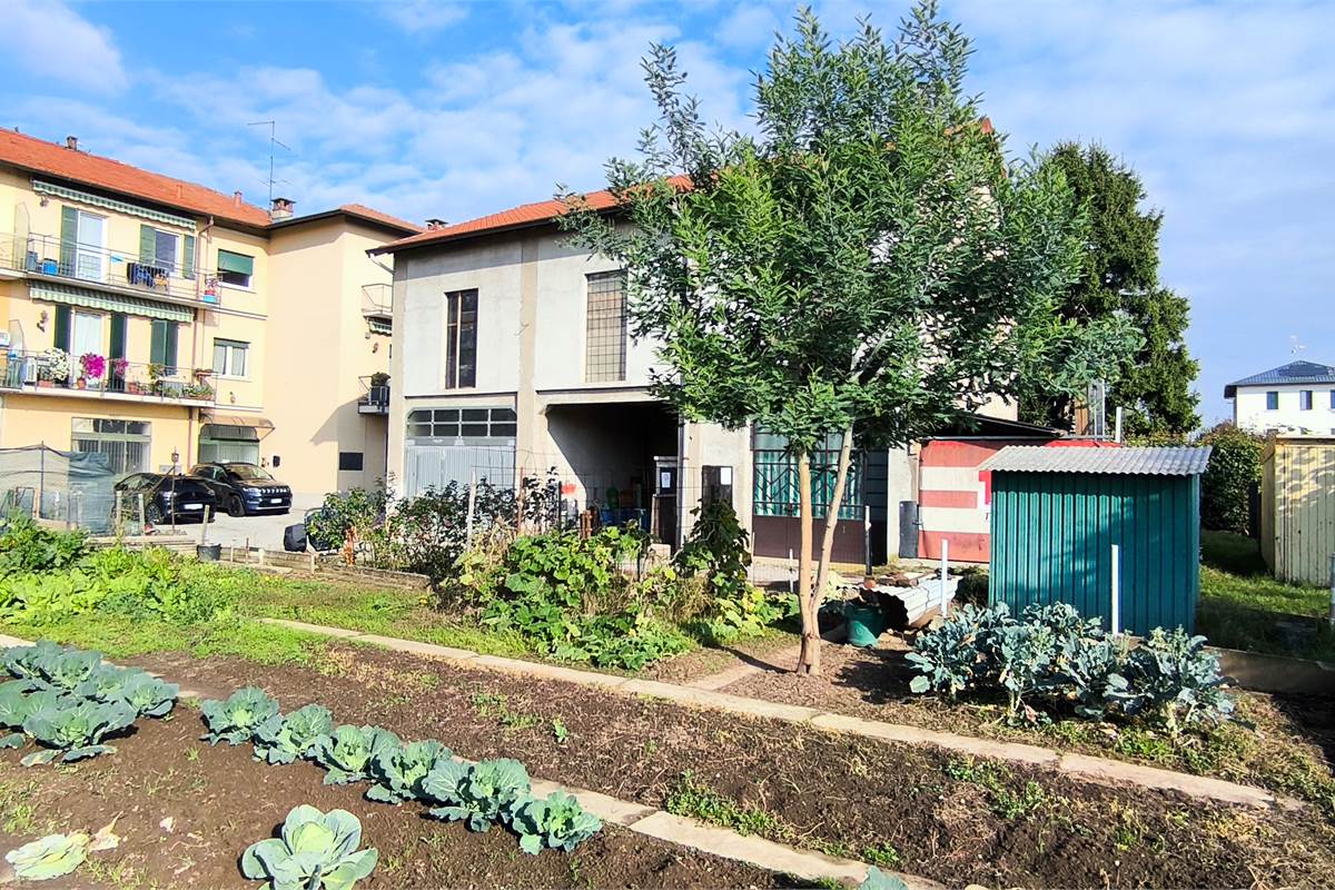 rustico
