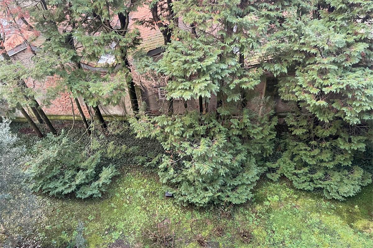 Cantù Centralissimo