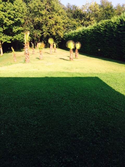 Villa In Vendita a Ronago