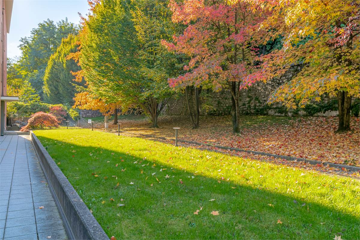 COMO BORGOVICO quattrolocali in affitto