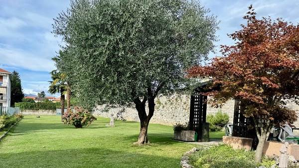 Casa singola in centro paese ad Olgiate Comasco