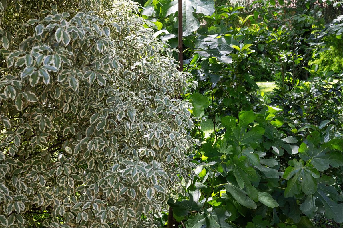 VILLA CON PISCINA - LURAGO D'ERBA