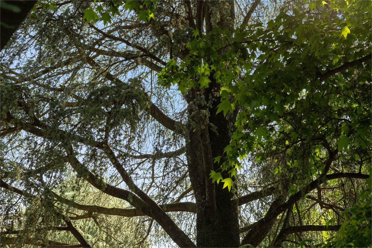 VILLA CON PISCINA - LURAGO D'ERBA