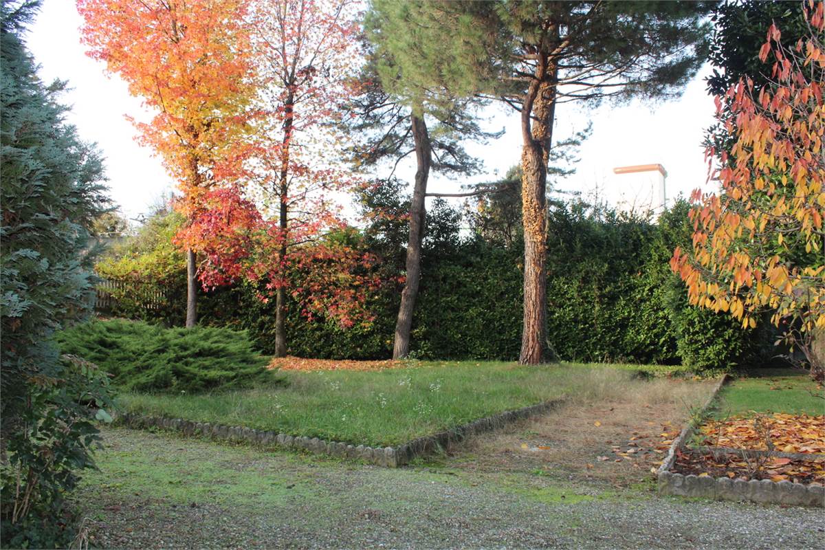 giardino 5