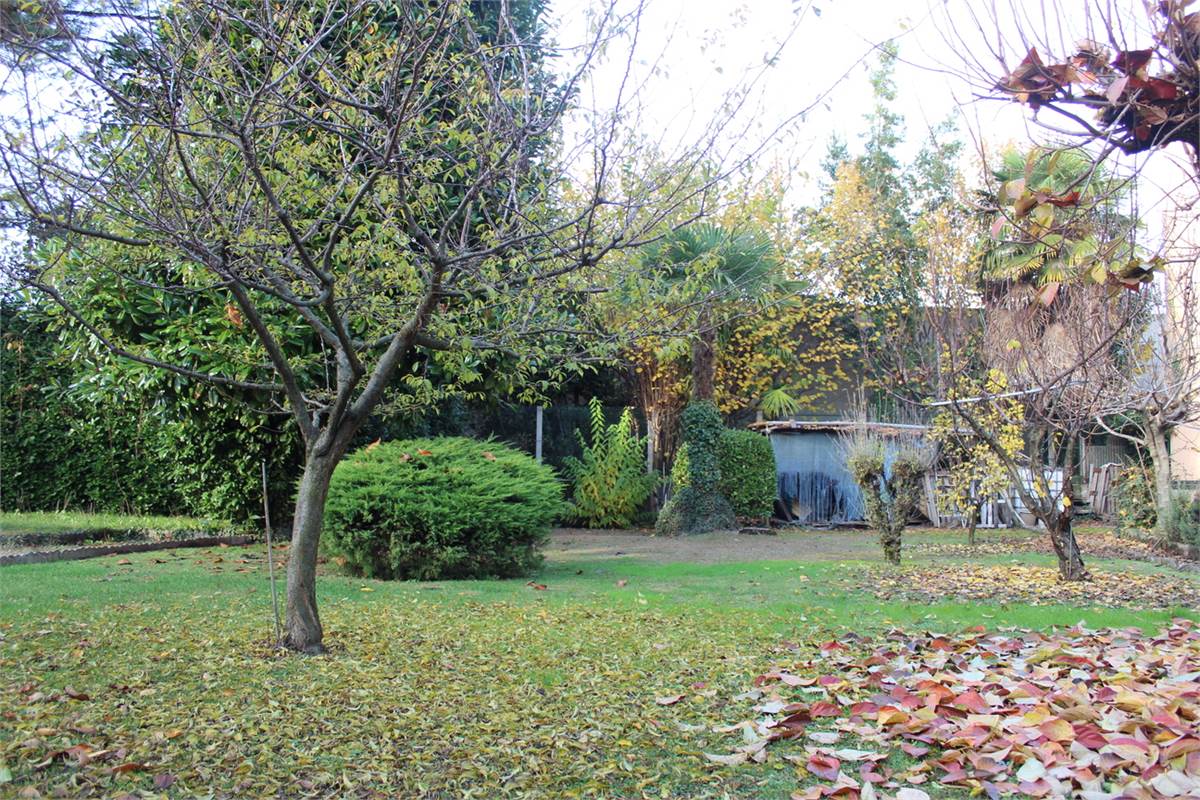 giardino 4