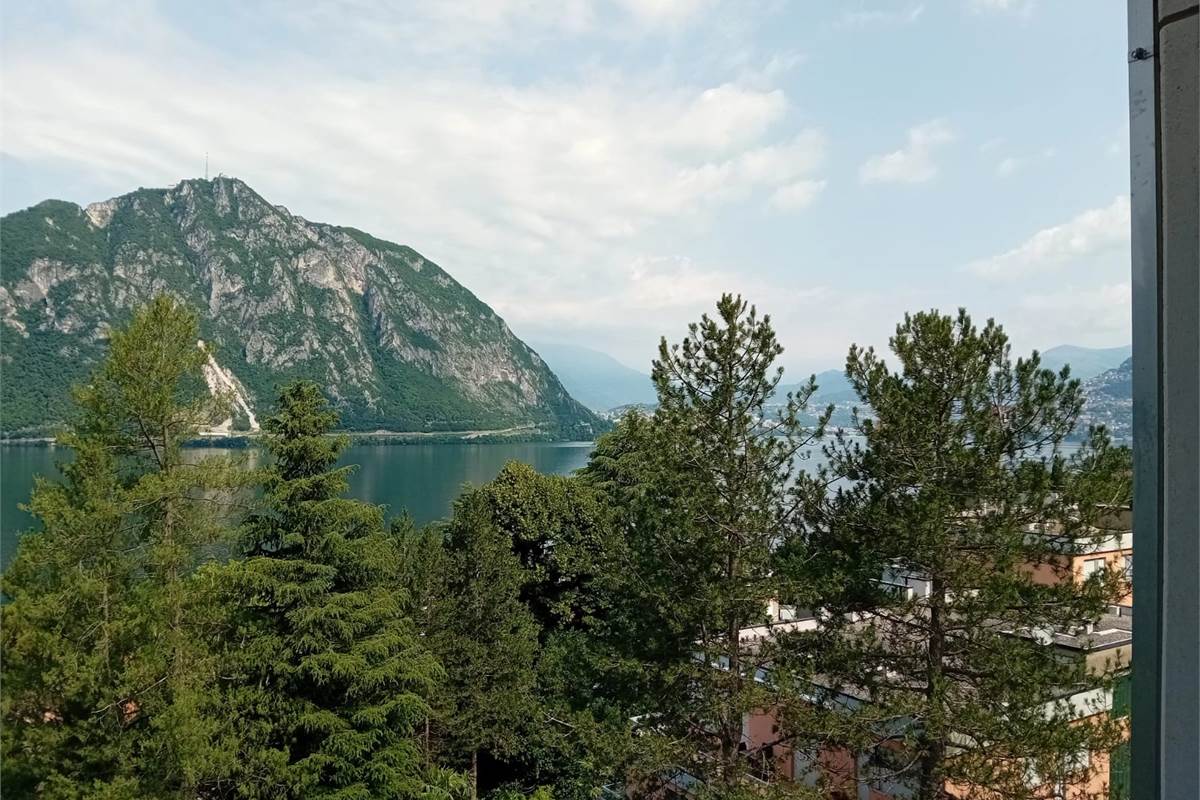 BISSONE vendiamo BILOCALE vista lago