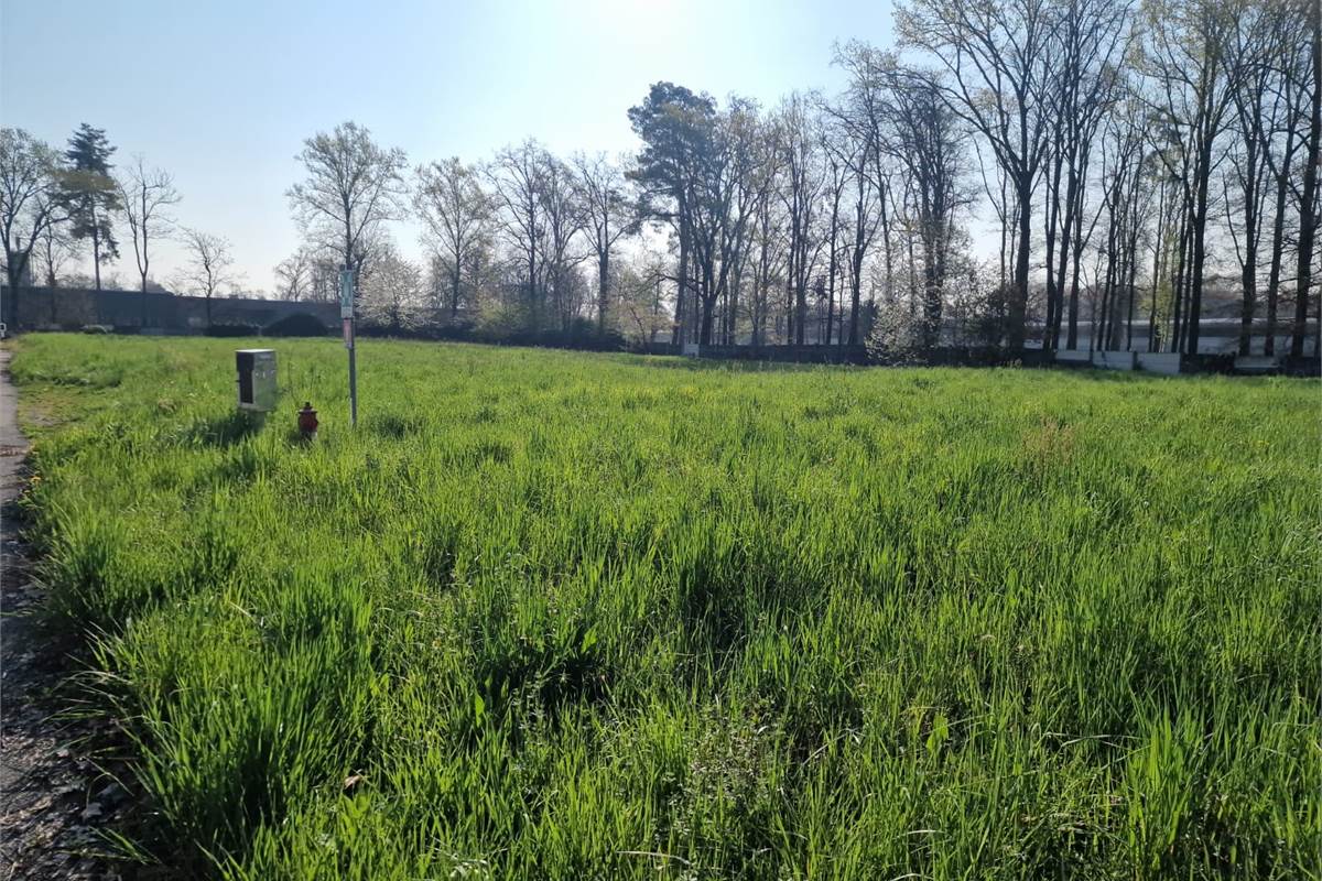 NOVEDRATE vendo CAPANNONE con ampia area esterna