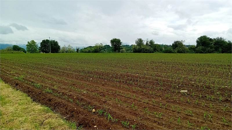 CANTU' periferia vendiamo TERRENO AGRICOLO
