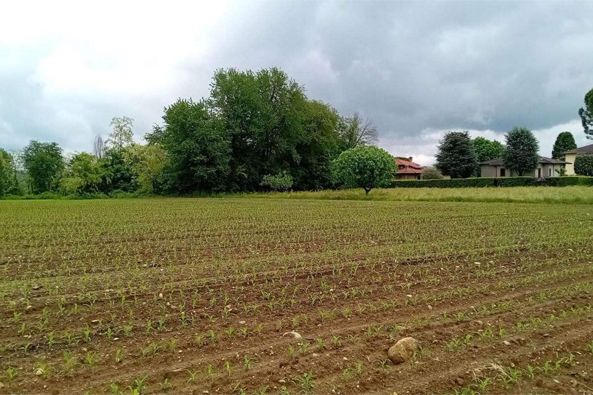 CANTU' periferia vendiamo TERRENO AGRICOLO