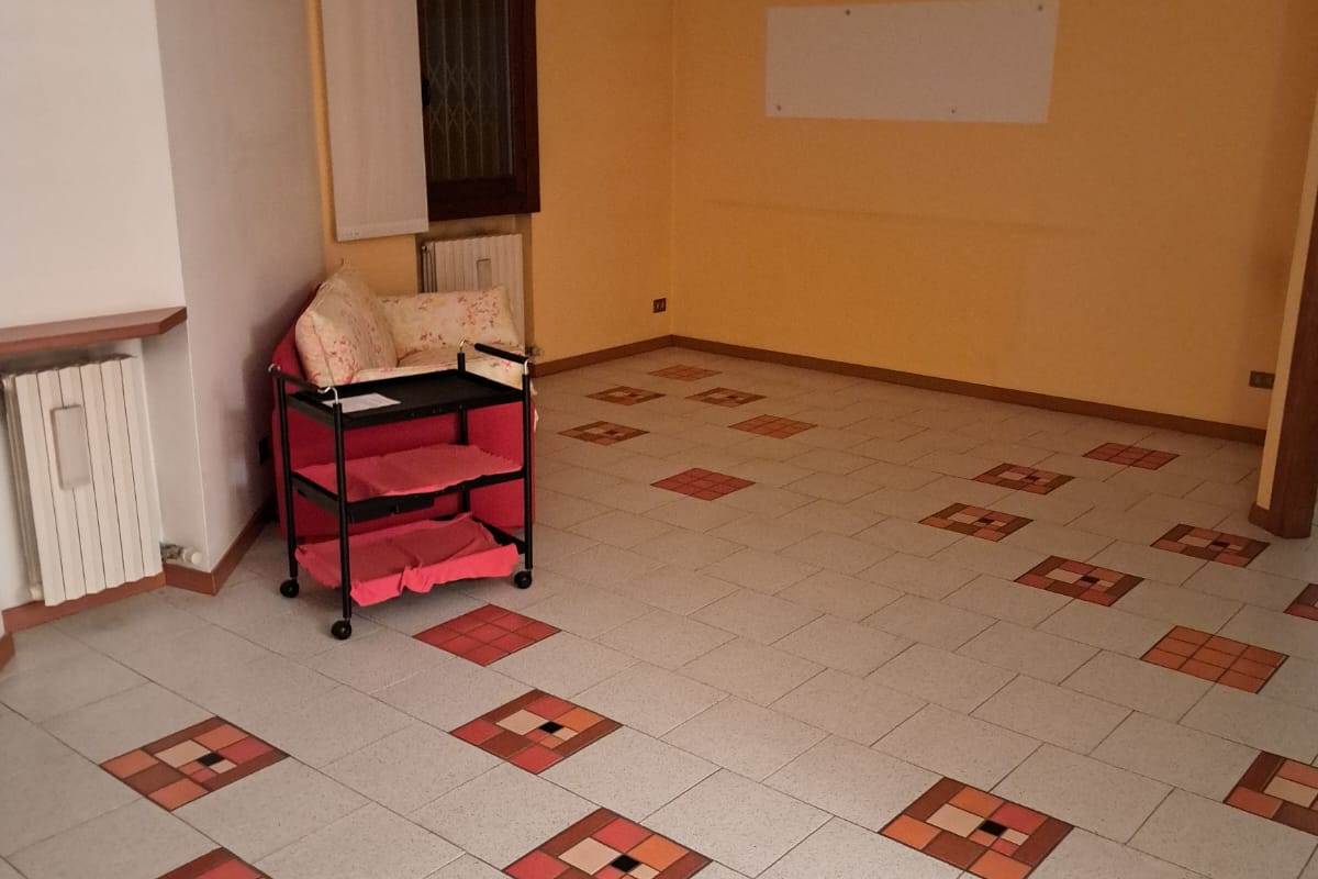 CANTU' Fecchio vendo VILLA con giardino