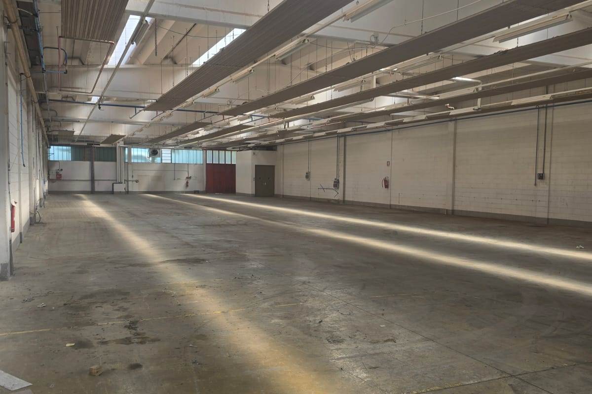 FIGINO SERENZA affittiamo CAPANNONE