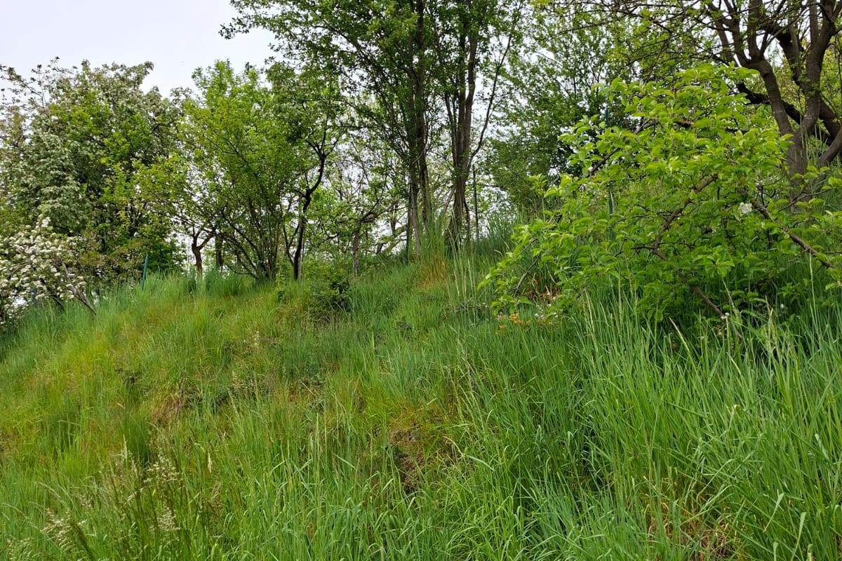 CANTU' vendiamo TERRENO di Mq 2.630