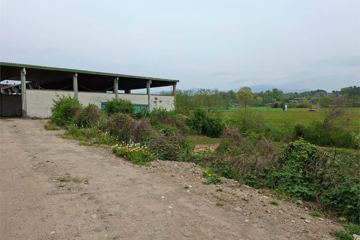 CANTU' vendiamo CAPANNONE ad uso produttivo o deposito