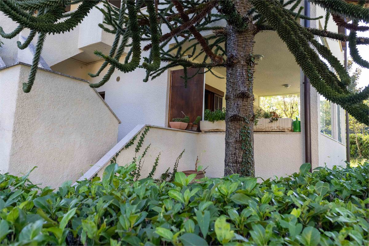 Trilocale con taverna e giardino