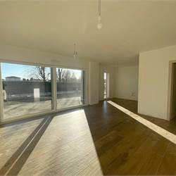 Nuovo trilocale con giardino