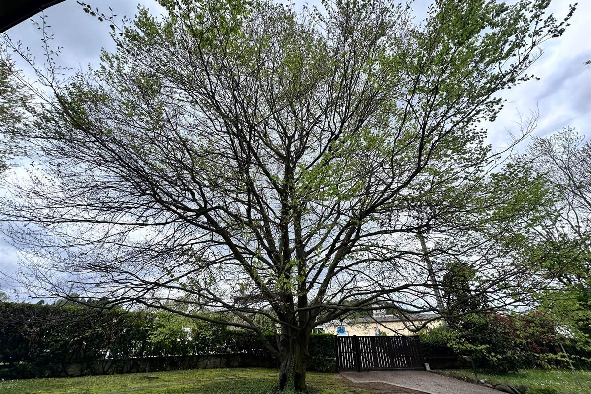 MERONE:CASA CON 2 ABITAZIONI E GIARDINO