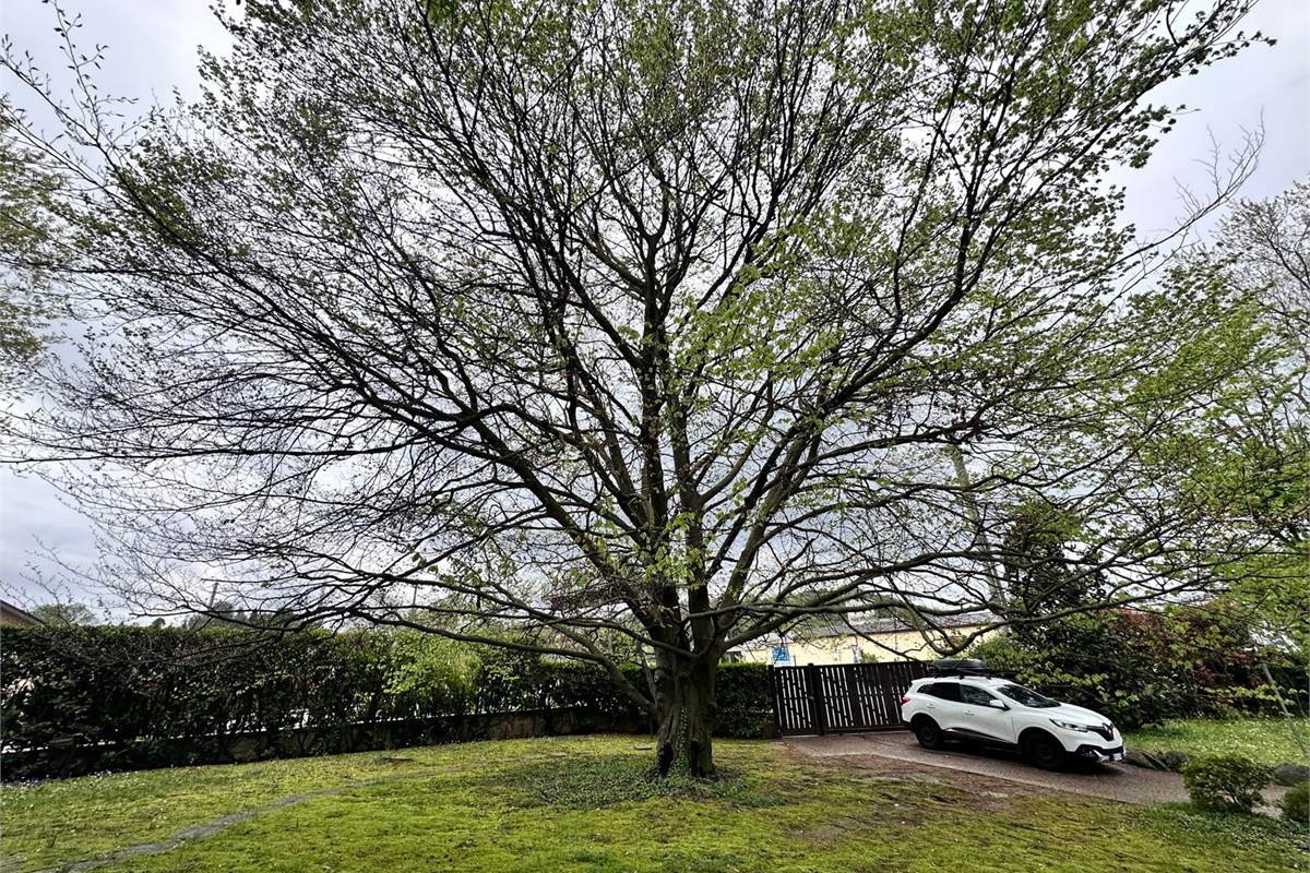 MERONE:CASA CON 2 ABITAZIONI E GIARDINO