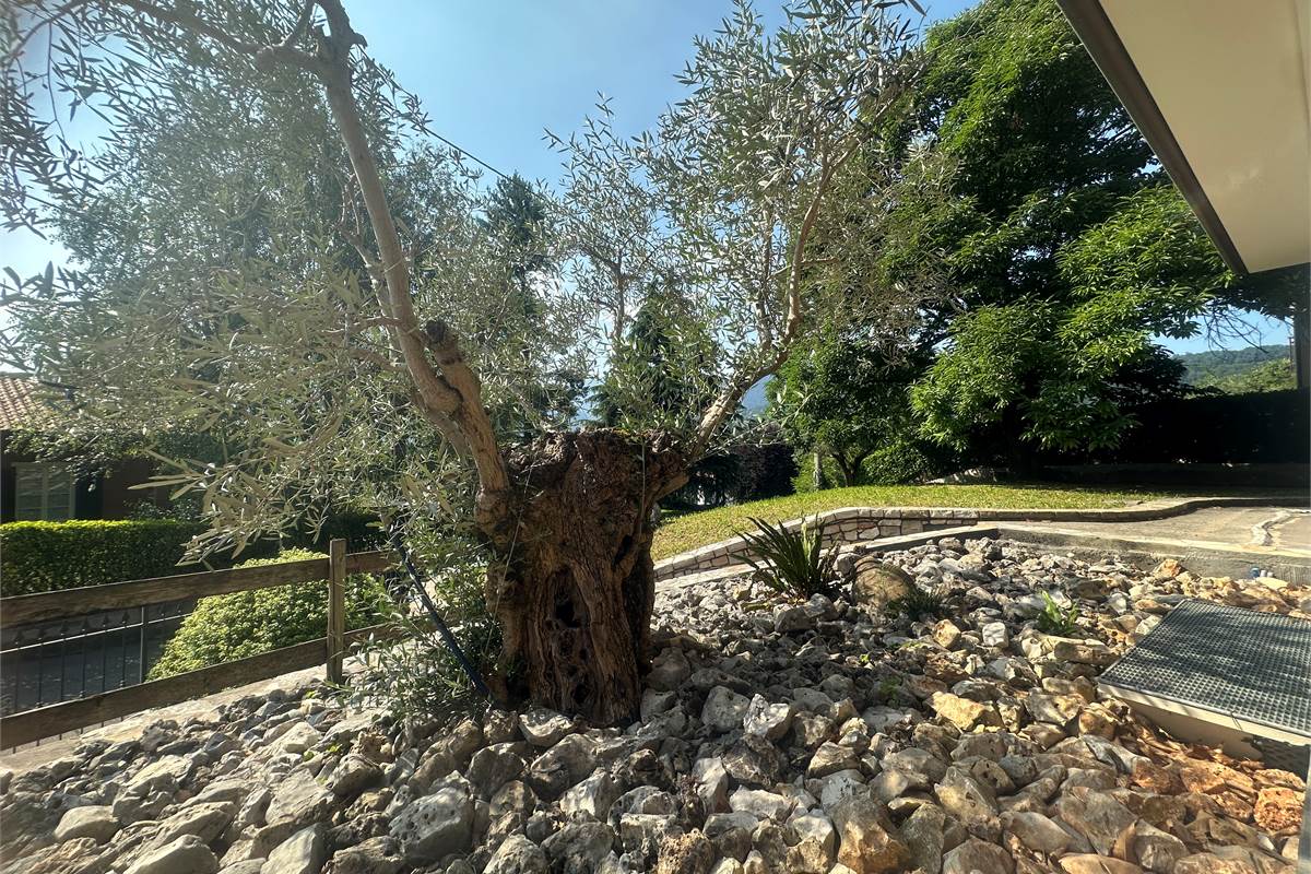 Longone : Bella villa singola elegante /giardino