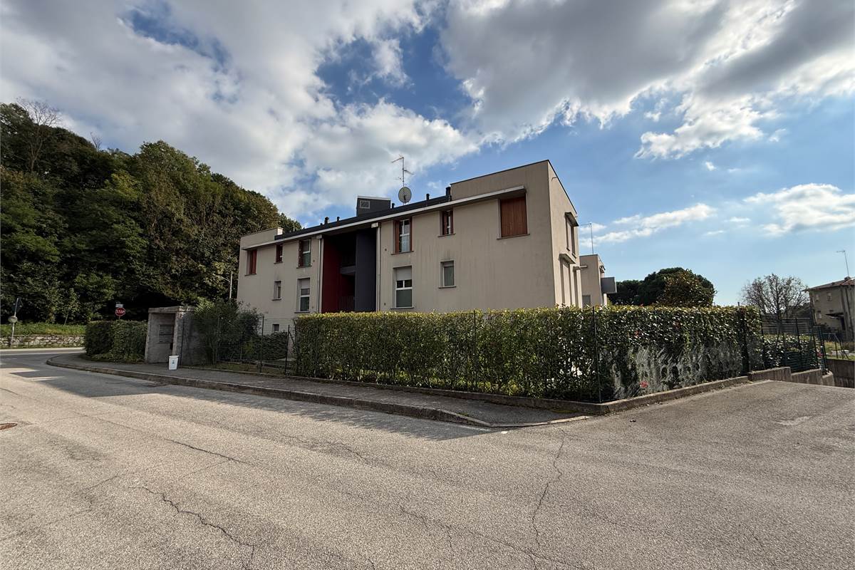 ALBESE:MONOLOCALE AMPIO CON GAIRDINO,MODERNO!