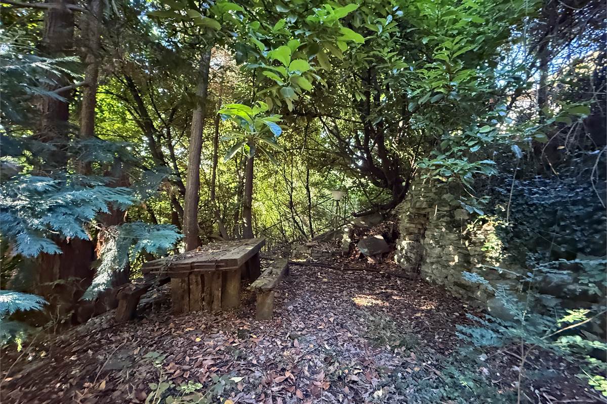 ASSO:VILLA SINGOLA CON GIARDINO