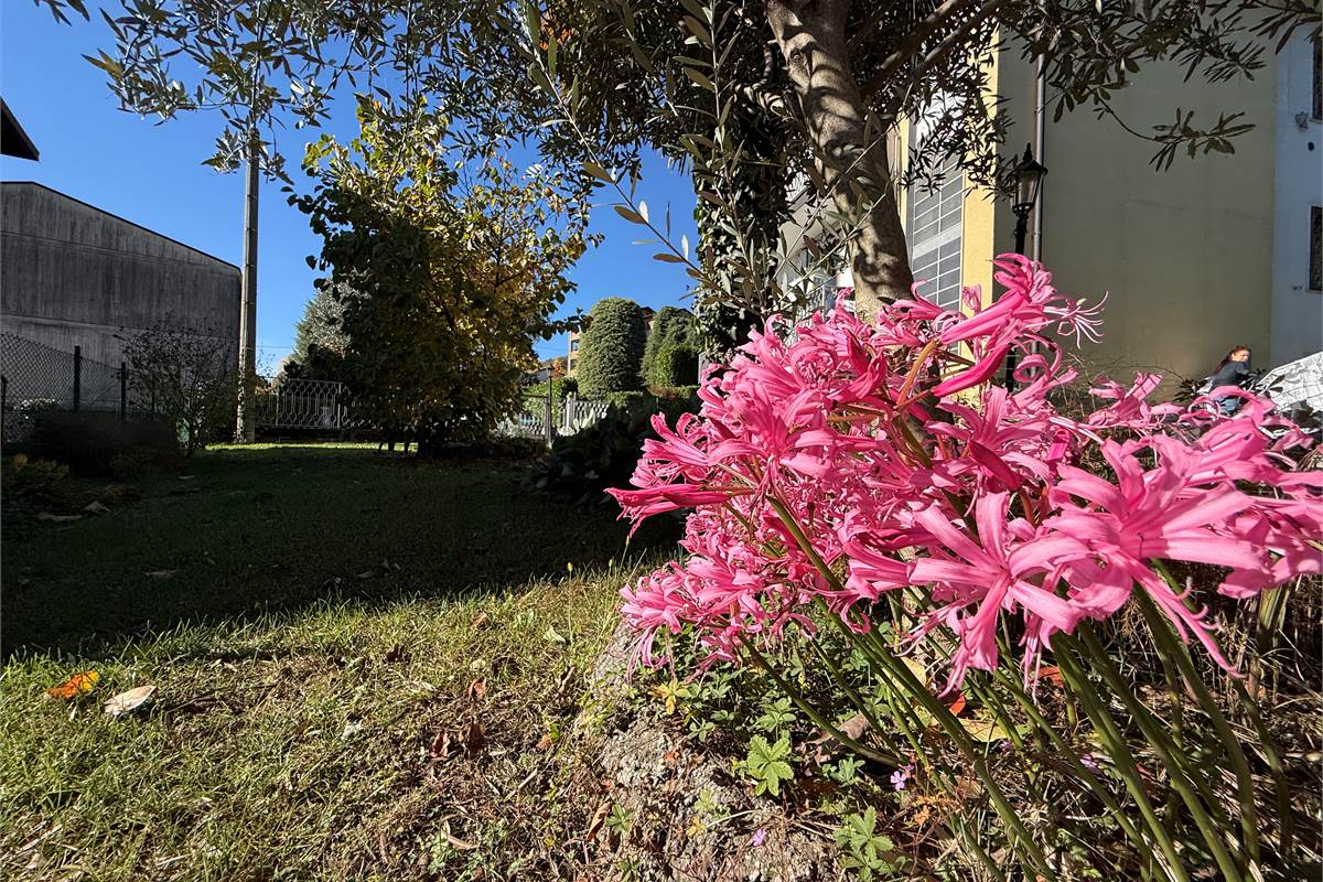 ERBA: VILLA BIFAMILIARE CON GIARDINO ,LOCALI ACCESSORI E BOX DOPPIO 
