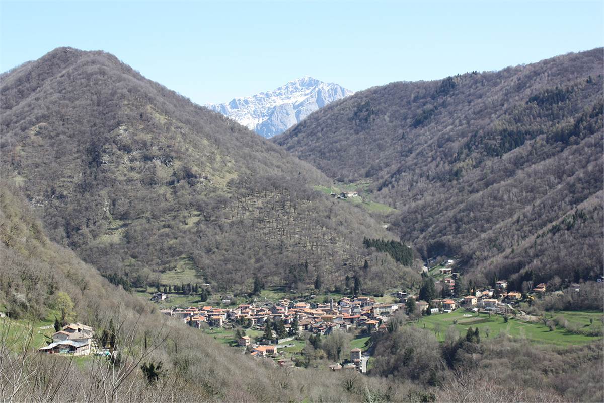 4 o più locali In Vendita a Asso