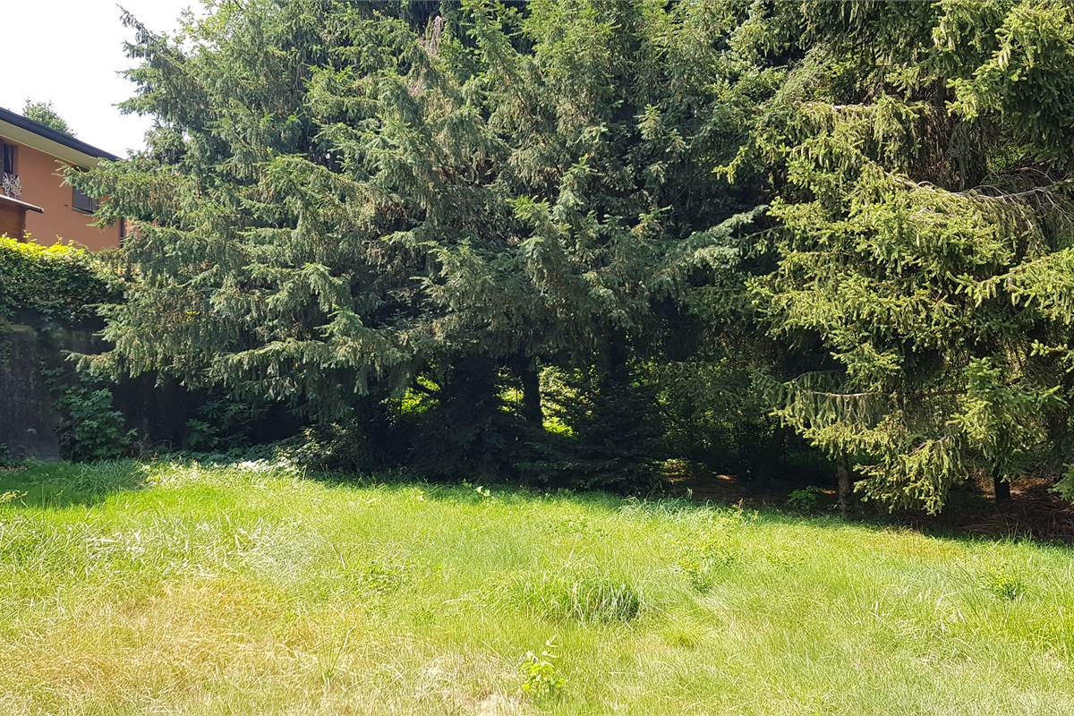 Terreno edificabile Luisago