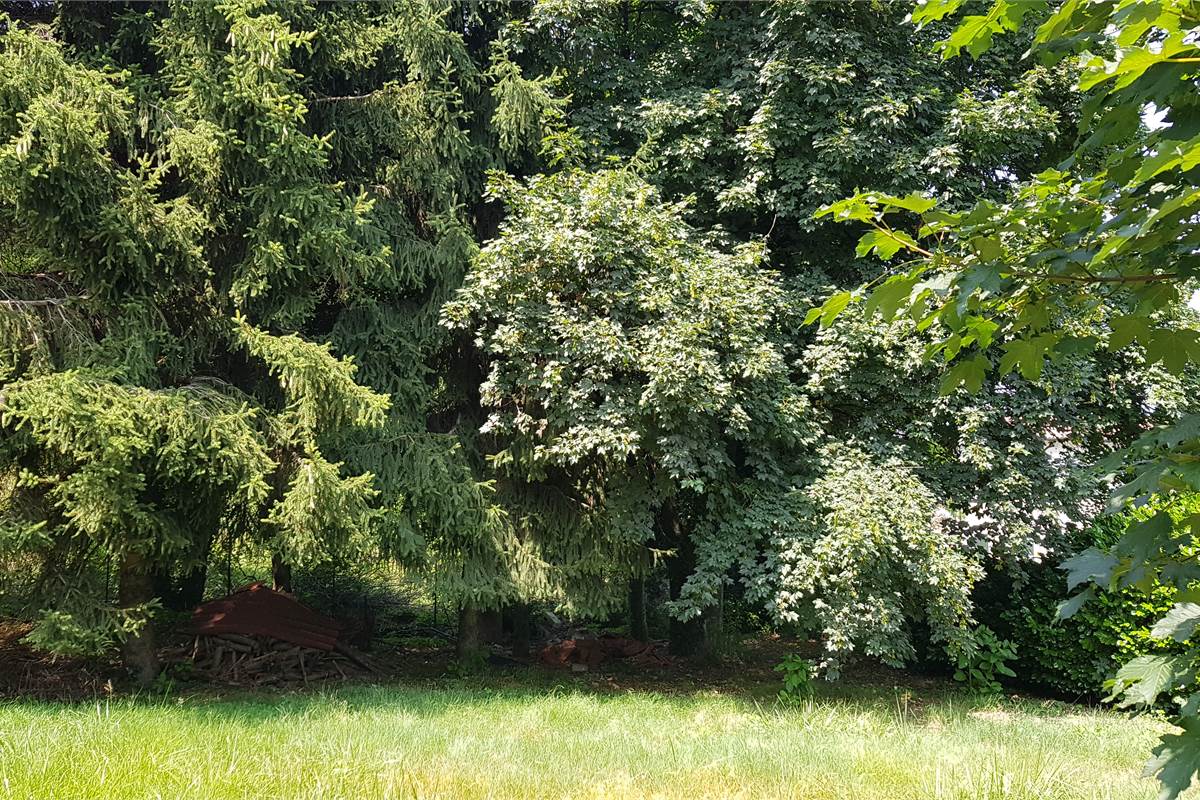 Terreno edificabile Luisago