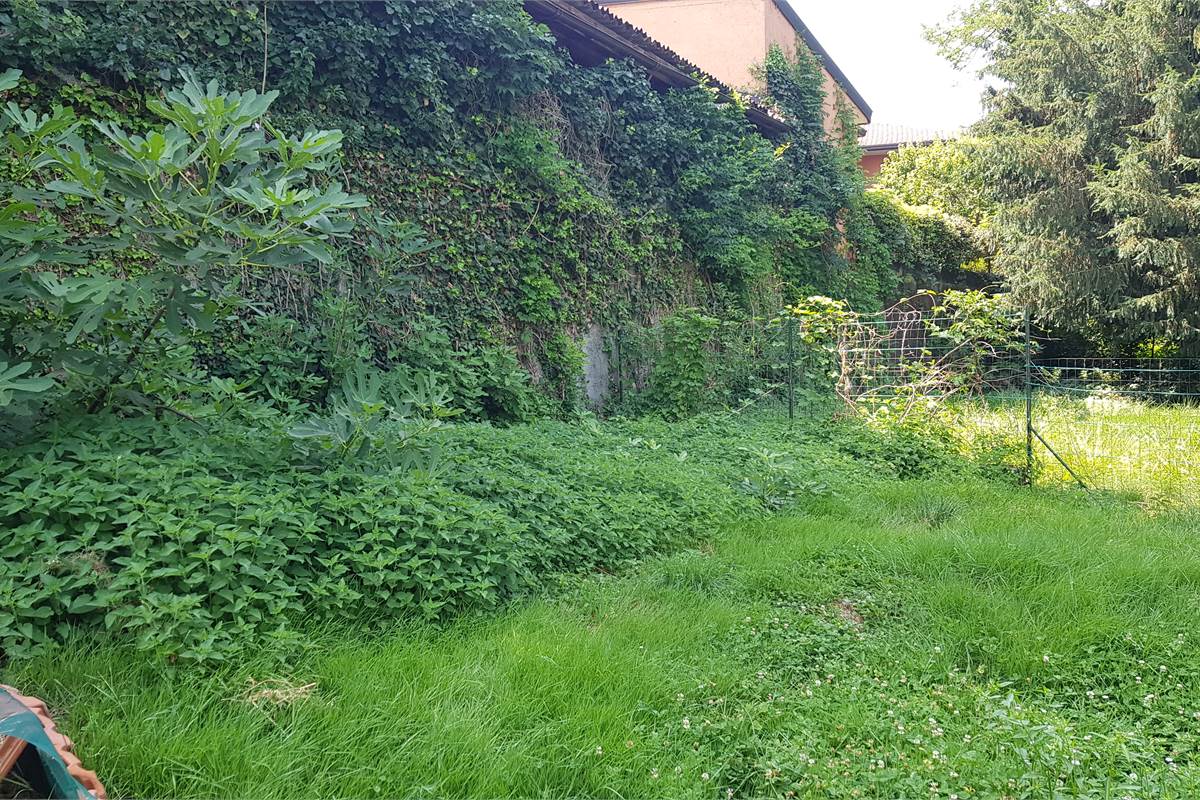 Terreno edificabile Luisago